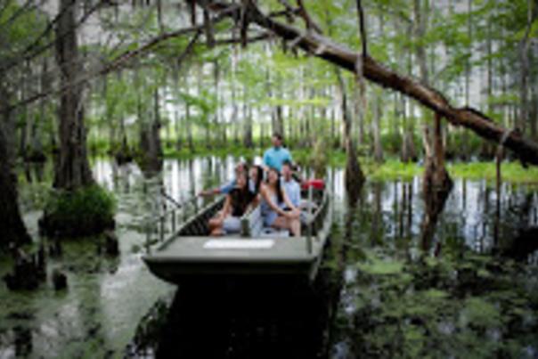 Touring the pristine Honey Island Swamp in Slidell