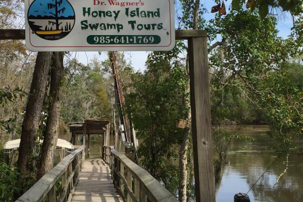 Walkway to boats, Dr. Wagner's Swamp Tour