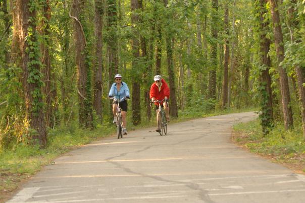 The 31-mile Tammany Trace hike and bike trail winds through Northshore towns and green spaces Cropped