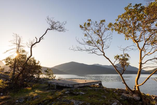 A camping pad in Desolation Sound