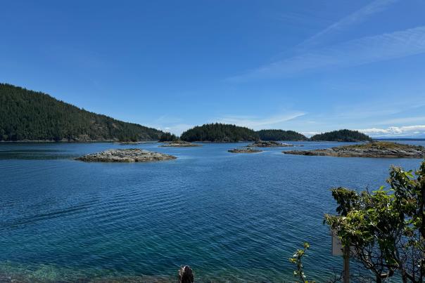 Copeland Islands