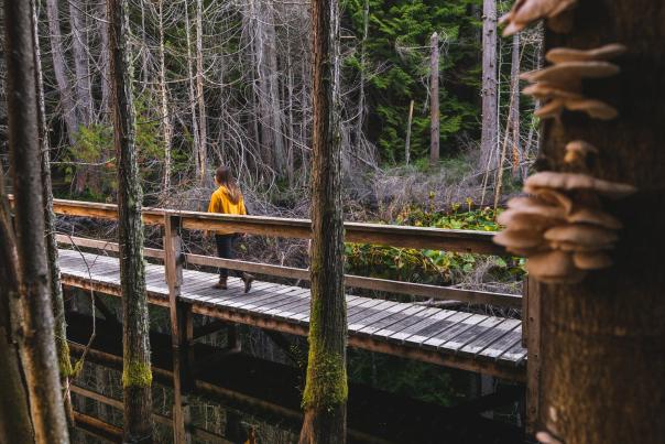 Smuggler Cove Marine Provincial Park