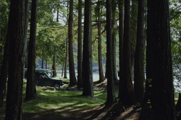 A glimpse through the trees at a vehicle with paddleboards strapped to the roof.