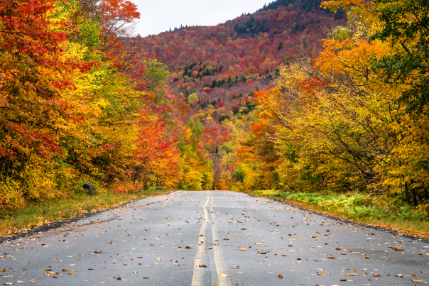 Fall Driving Tour