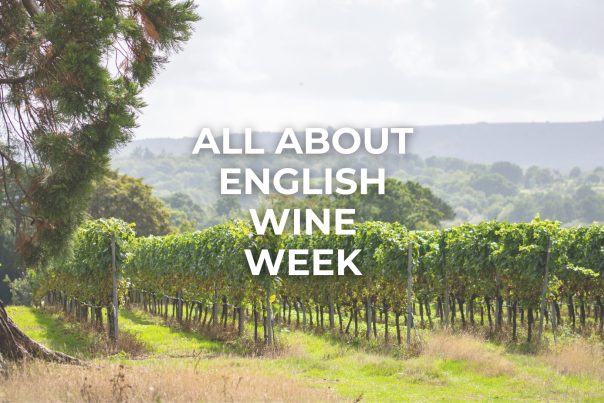 Learn about english wine week, image of vineyard on a sunny day