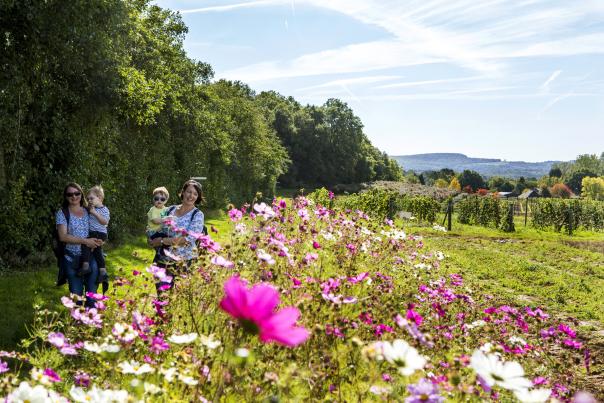 Two mums walking in SDNP