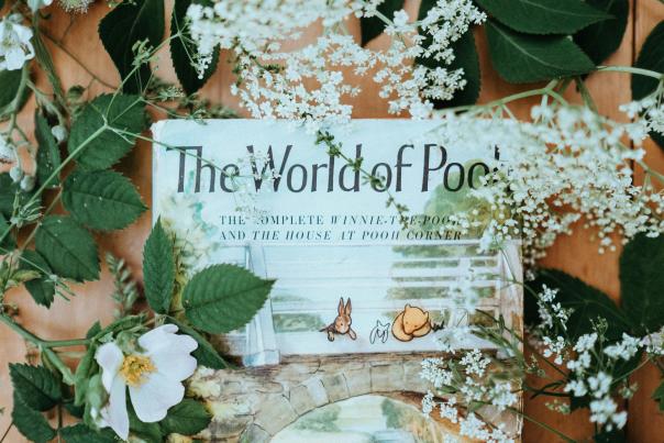 The world of Winnie the Pooh
