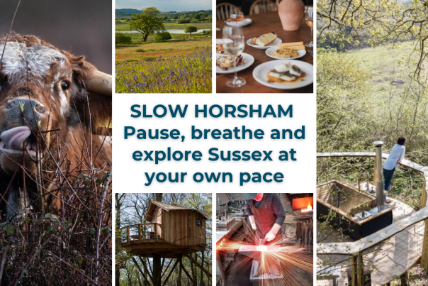 Slow Horsham, Pause breathe and explore Sussex at your own pace