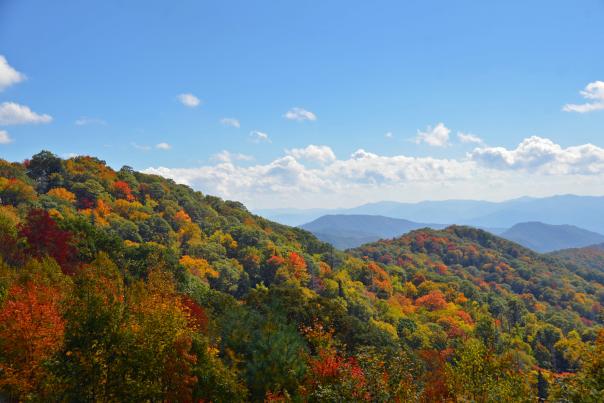 Mountains in Fall Colors