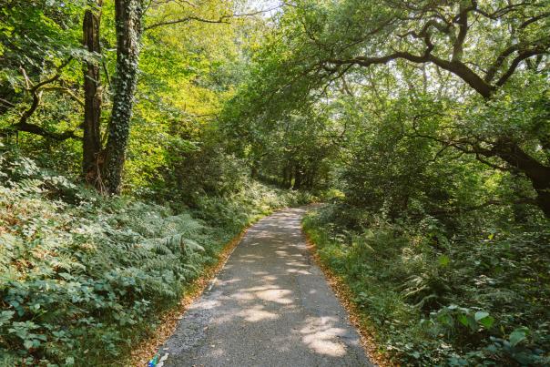 Lliw reservoir Swansea
