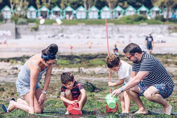 A family having fun at Swansea Beach with sand buckets and nets