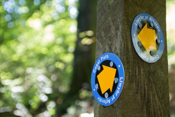 Two Coat Path signs (discs with arrows on), on a fence post.