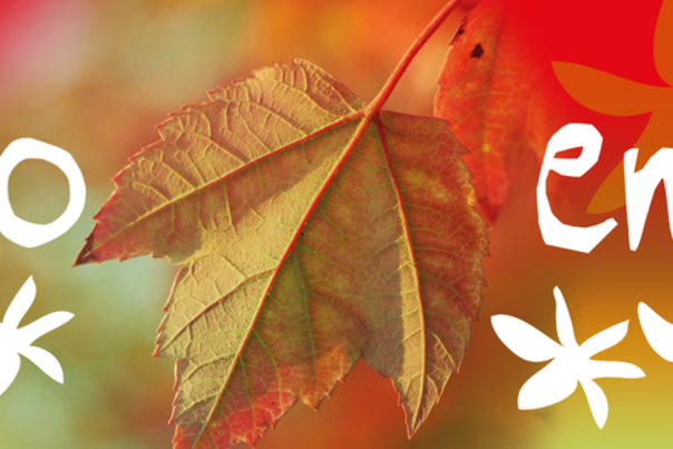 Enjoy October in Swansea