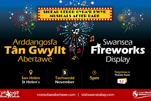 Swansea Fireworks Display 2024