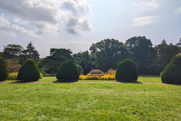 Topiary in Singleton Park