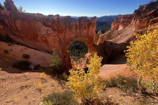 Fall Colors in Southwest