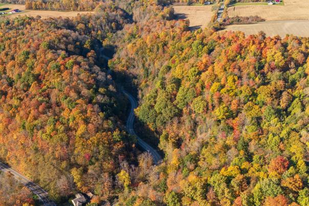 13 curves - ghost bride lore