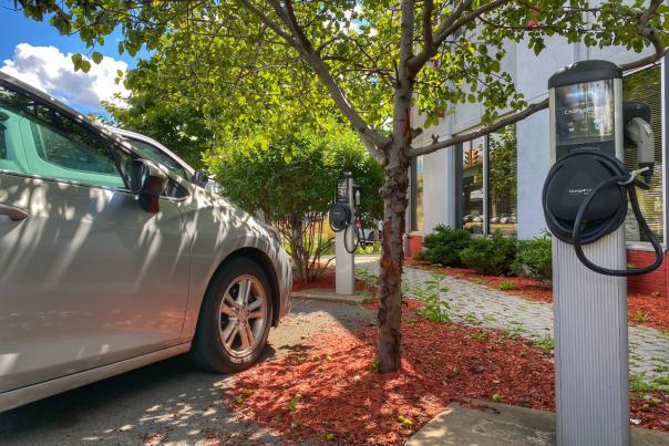 a tree shading a parking spot that offers the ability to charge your EV car