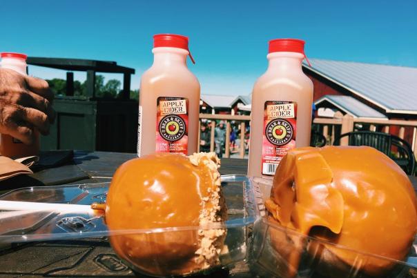 two candy apples in front of two apple cider jugs on a table outdoors