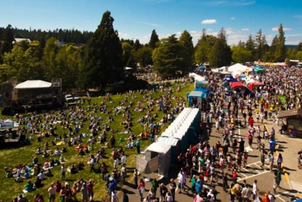 Taste of Tacoma 2017 Cropped for Blog Header