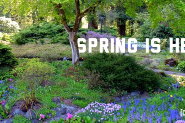 Spring Image for blog post Chase Garden