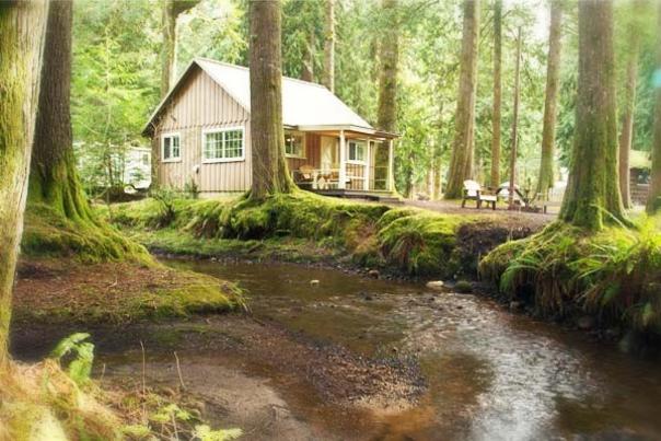 beginner camping cabin