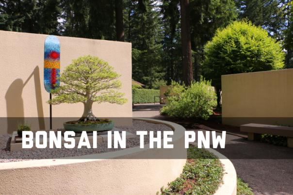 Pacific Bonsai Museum in Federal Way, Washington