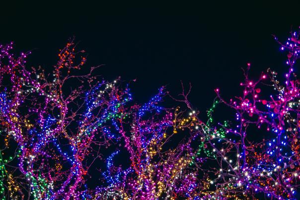 christmas lights
