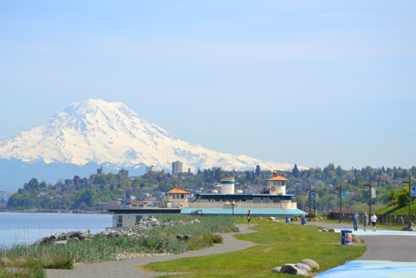 mount rainier waterfront