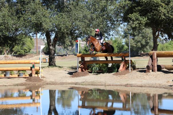 An equestrian rider on their horse, jumping an obstacle during the Galway Downs championship.