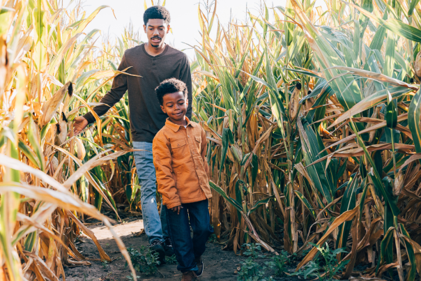 Boys walking in the Big Horse Corn Maze in Temecula