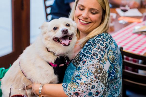 Traveling With Pets in Temecula Valley