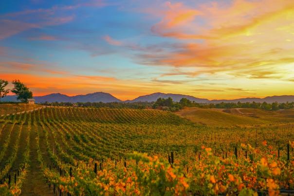 Fall in Temecula Valley