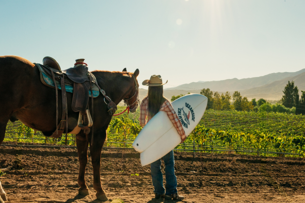 Waves to Wine Horse and surfboard by Vineyard