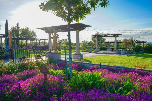 Spring at Mount Palomar Winery, Temecula Valley