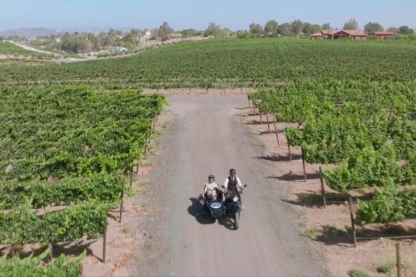 A motorcycle sidecar drives through vineyards, overhead view