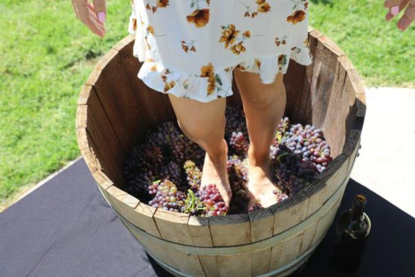 Close up of a woman stomping on grapes inside a wooden barrel