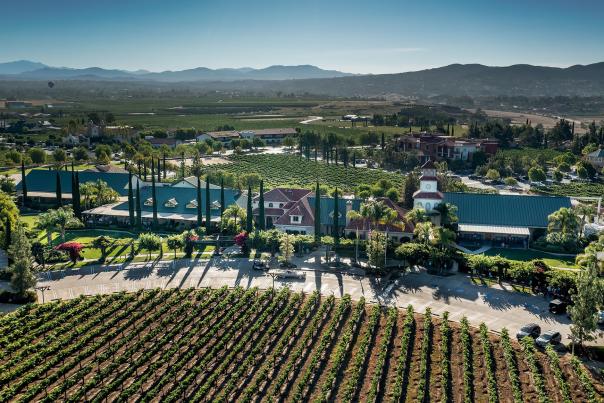 Birds eye view of South Coast Winery, with the estate and the vineyards