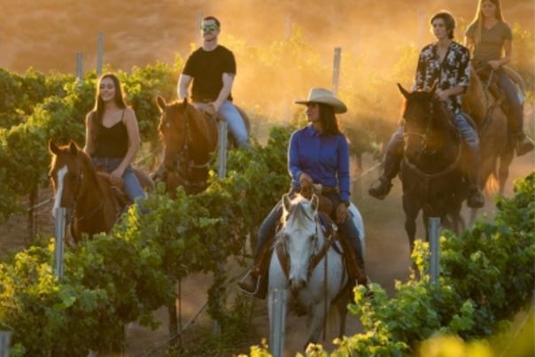 Horseback Riding in Temecula Valley