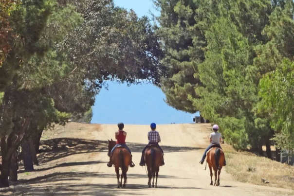 Three adults riding hourses on a dirt trail