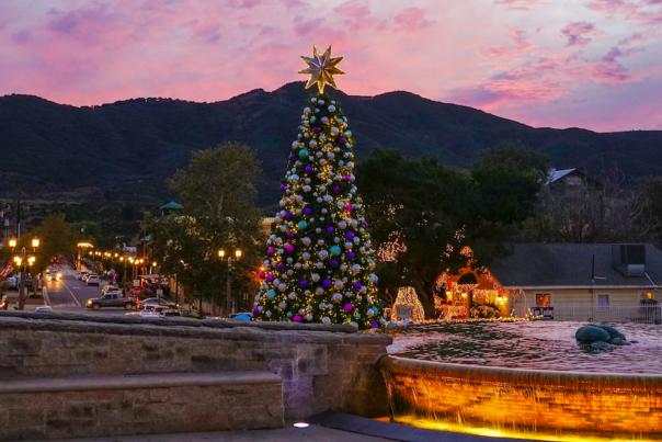 A large christmas tree in public
