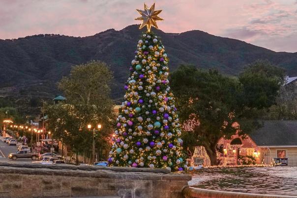 A large christmas tree in public at sundown