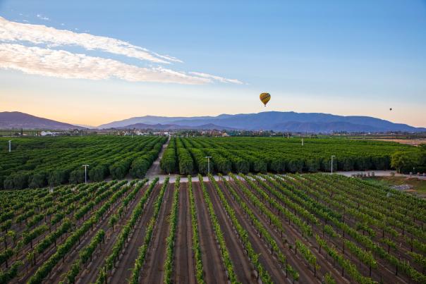 Chamber Joins Regional Leaders in Opposing Proposed Powerline Route