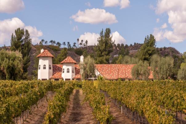 Somerset Winery building with the vineyards in the front