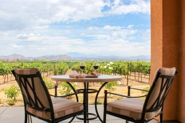 A table overlookig a vineyard during the day