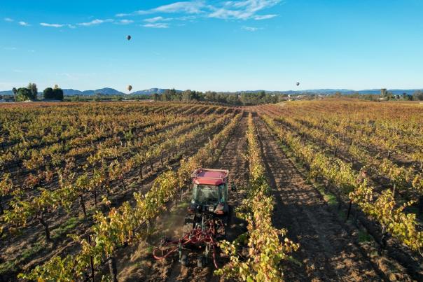 A birds eye view of the filelds at Wilson Creek Winery. Grape vines and blue skies.