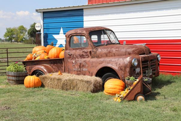 Rusty truck with pumpkins and hay