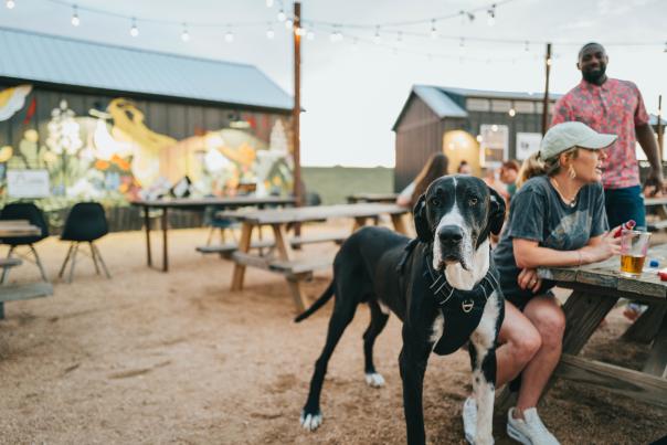 Outdoor Brewery with dog