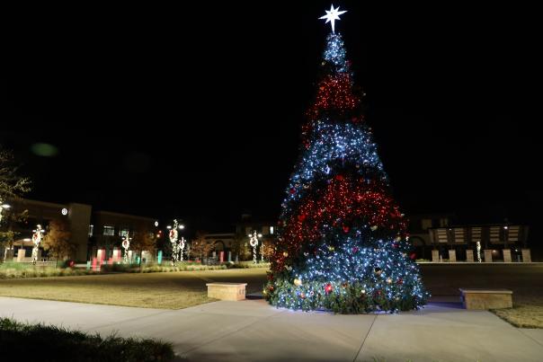 Christmas at the Plaza