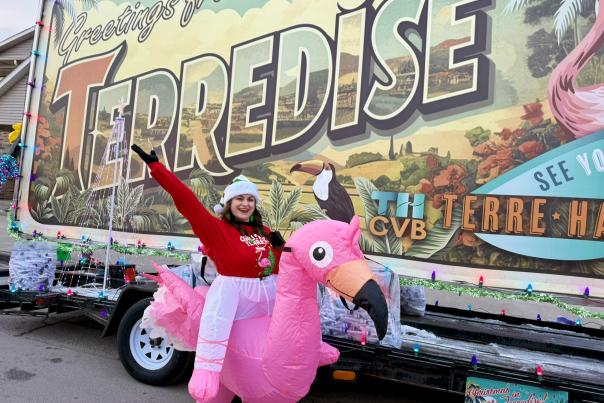 Terredise with flamingo